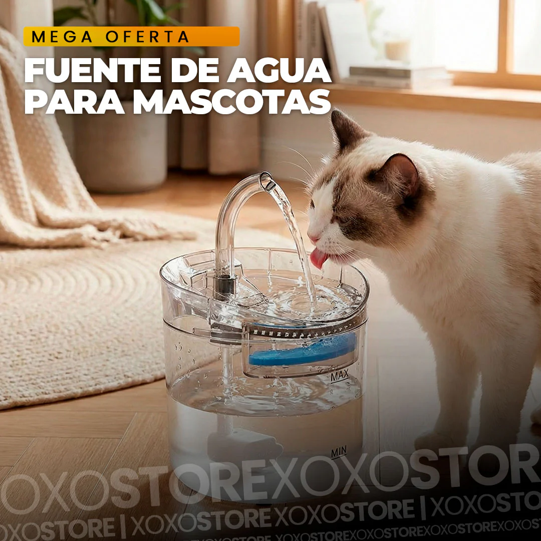 Fuente de cristal para perros  y gatos